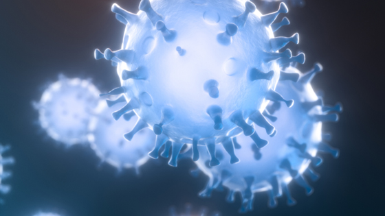 coronavirus covid-19